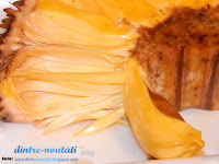 Jackfruit, fuct fruit ,yaca, nangka - guma de mestecat produsă natural, fără chimicale, sănătoasă pret, de unde cumpar, romania, cum arata, recenzie, review