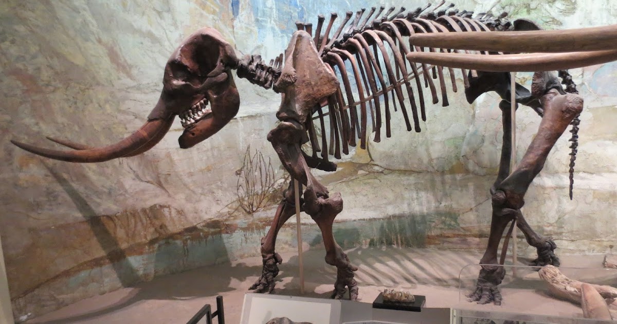 Equatorial Minnesota: Marshalls Creek Mastodon