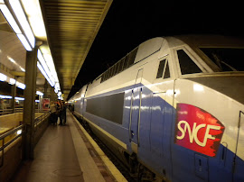 TGV - Estação de Lyon França