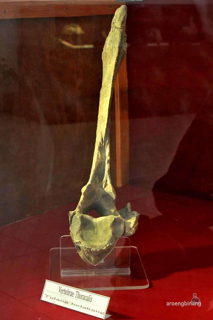 museum purbakala patiayam kudus