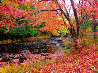 Amazing Fall New England Fall Foliage Amazing Fall New England Fall Foliage