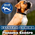 Adiestramiento canino a domicilio en Panamá