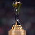 READ WHAT 48-TEAM WORLD CUP MEANS FOR NIGERIA (READ HERE)