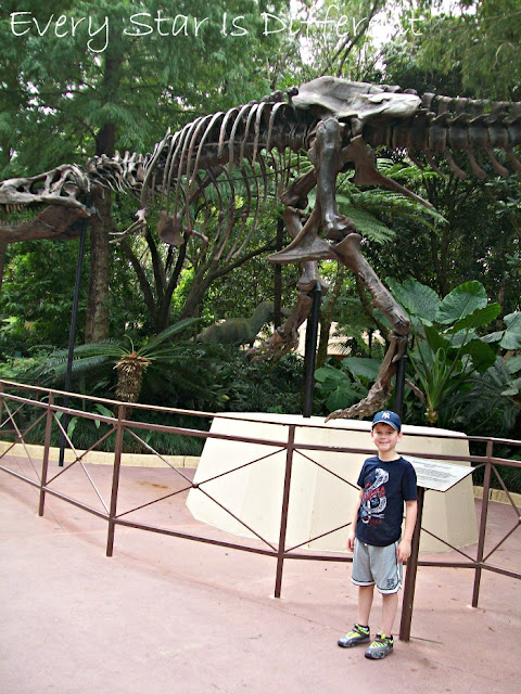 Dino Sue, Animal Kingdom, Walt Disney World