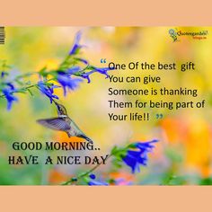 good morning images free download