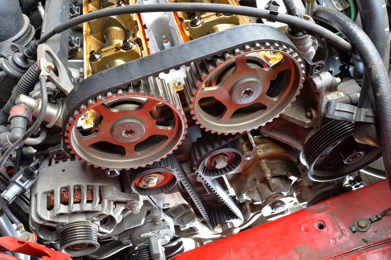 límite natural cambio correa distribucion ford 1.6 16v Desempleados Ocultación