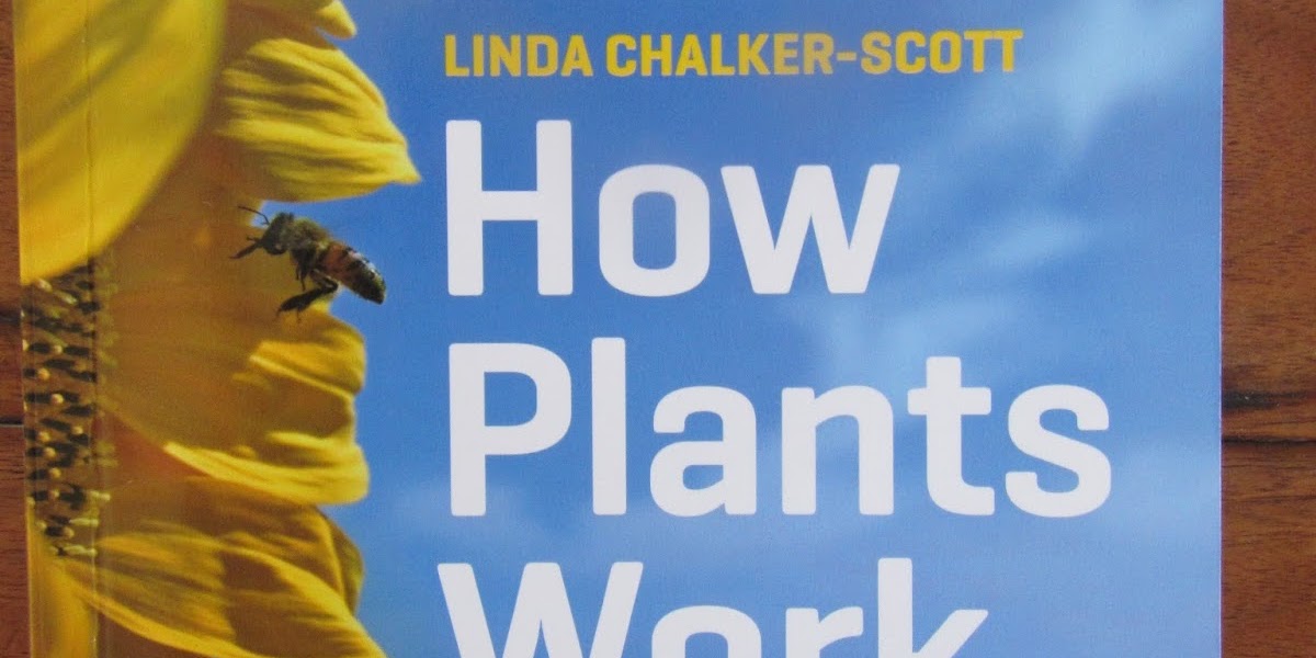 HOW PLANTS WORK The science behind the amazing things plants do (2015