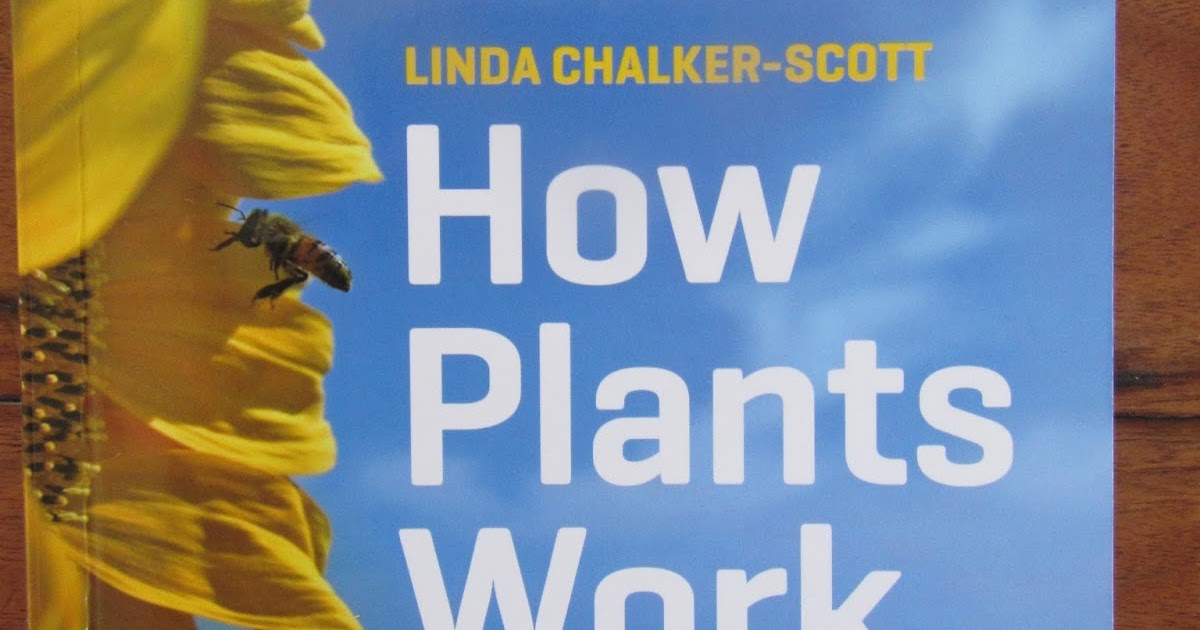HOW PLANTS WORK The science behind the amazing things plants do (2015