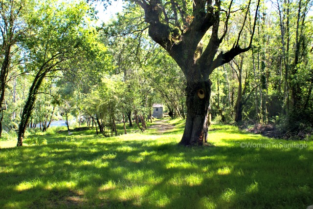 fervenza-casa-rural-lugo-galicia-womantosantiago