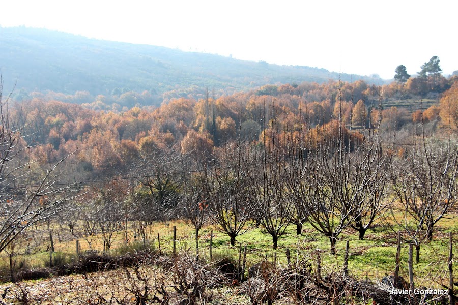Valle de las Batuecas