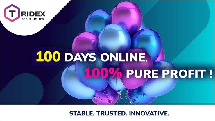 100 дней работы проекта Tridex 100 дней Tridex