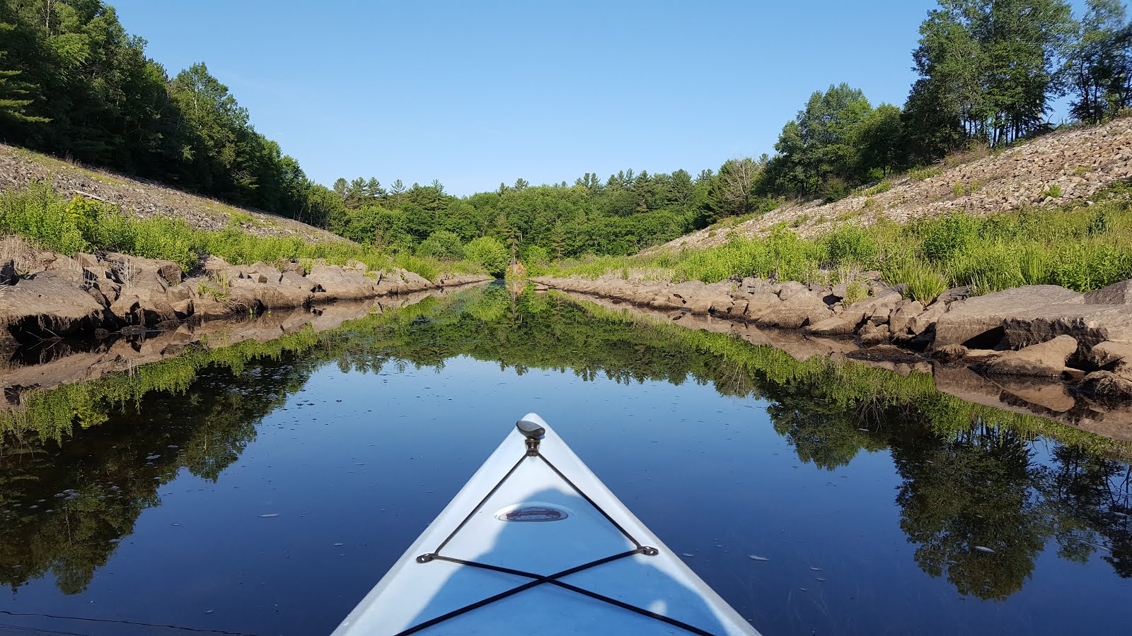 The Kayaking Bison of New Hampshire Contoocook River Henniker, NH