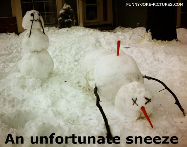 Funny Snowman Sneeze Accident Photo Image