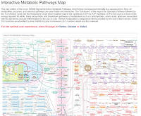 Buy Roche Biochemical Pathways Wall Chart