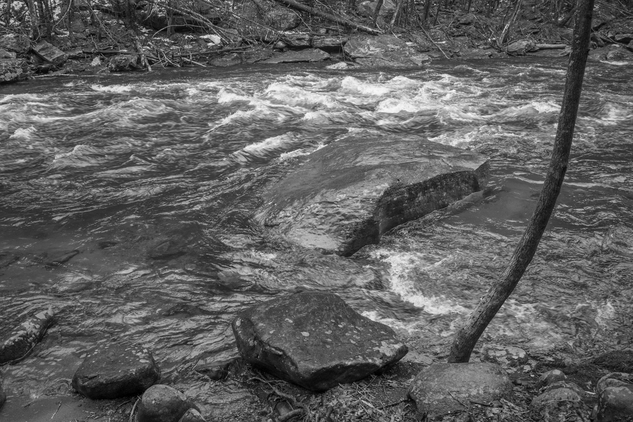 Working Pictures More Early Spring at Steep Rock