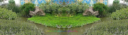 柑園國小投票所|第一次參與投票活動