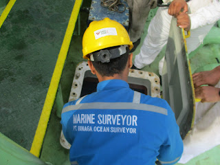 Marine Surveyor