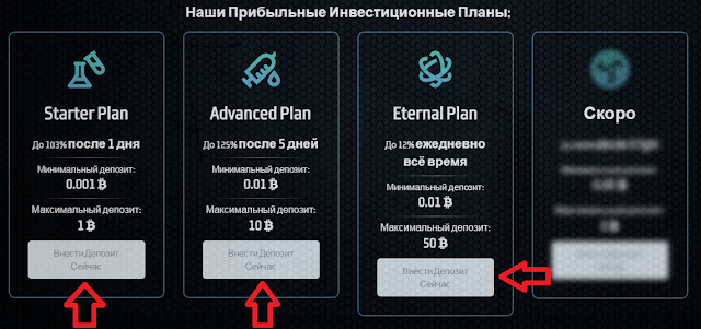 Инвестиционный планы dual-hash.com обзор
