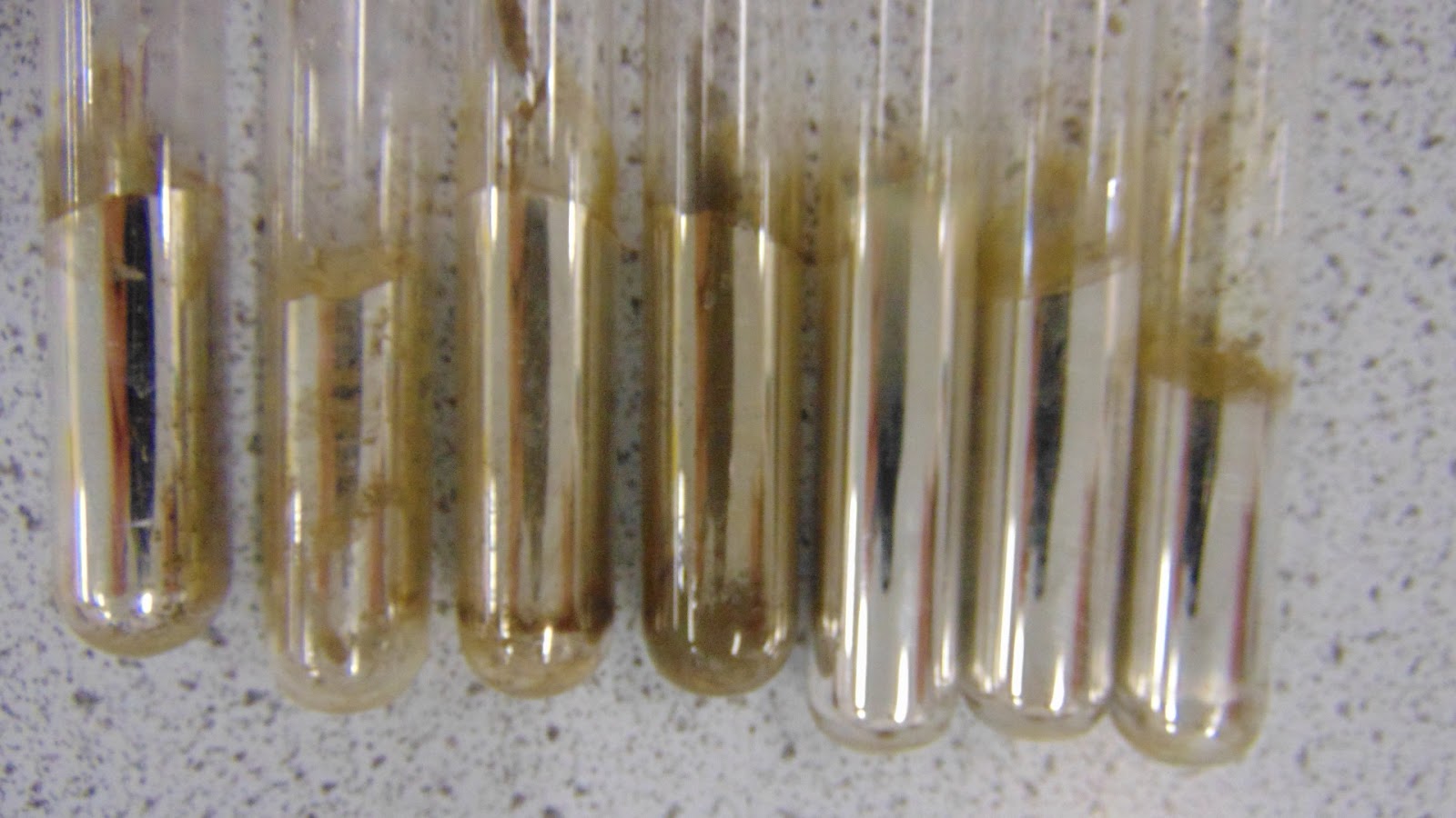 The Smarties Science Club Silver mirror test