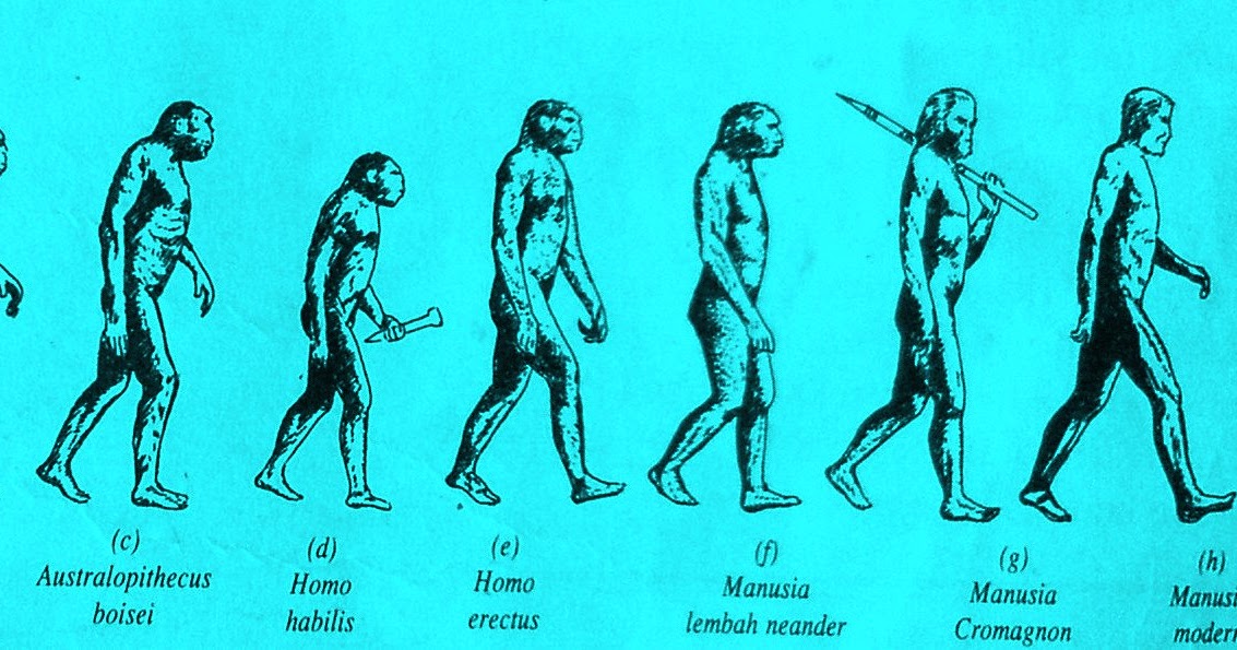 Blog Mas Gilang Perkembangan Corak Kehidupan Masyarakat Masa Pra Aksara