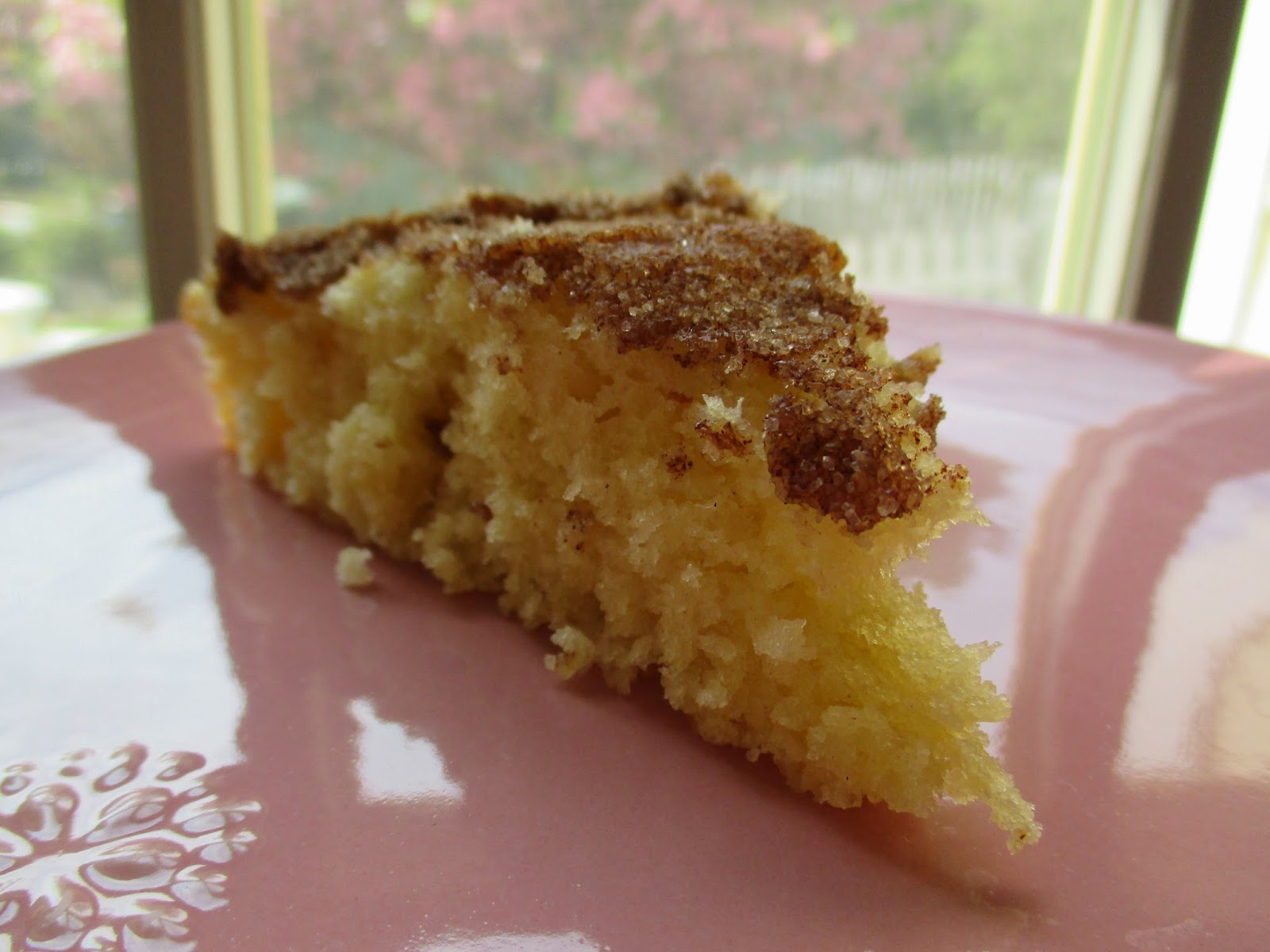 Cinnamon Sugar Breakfast Cake Slice
