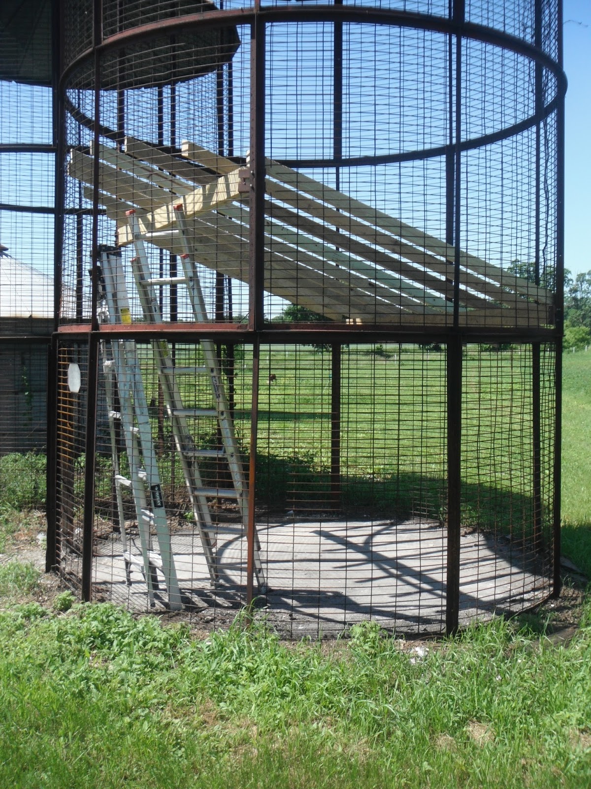 Grass Creek Farm Poultry in the Corn Cribs