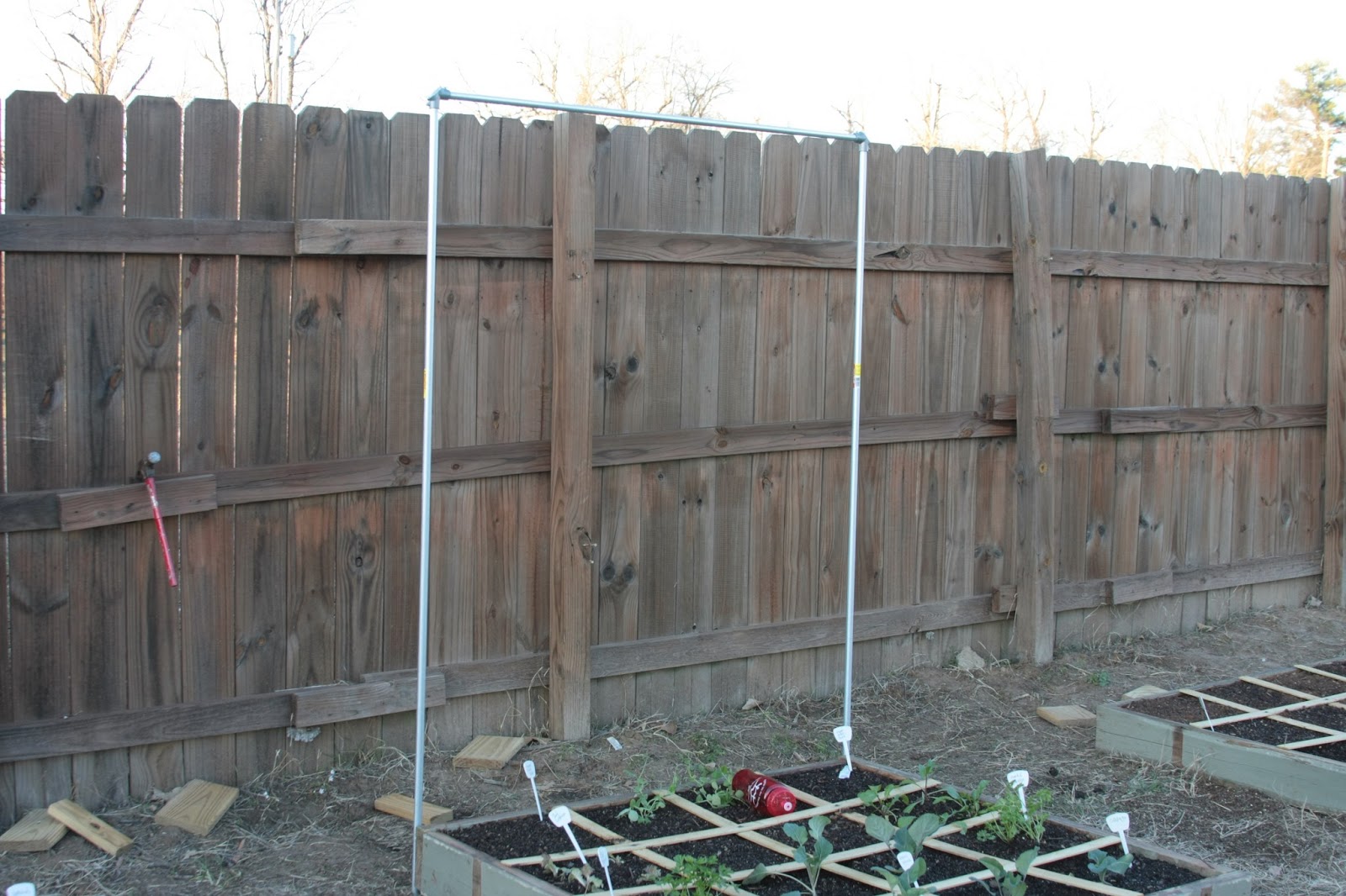 My Square Foot Garden Journal