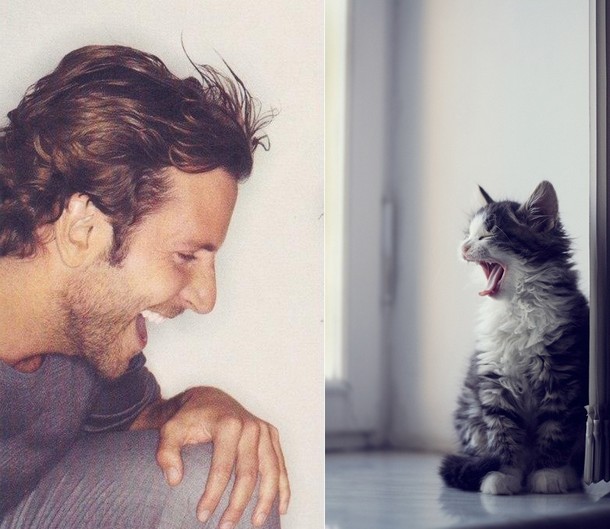 Hot models and cat