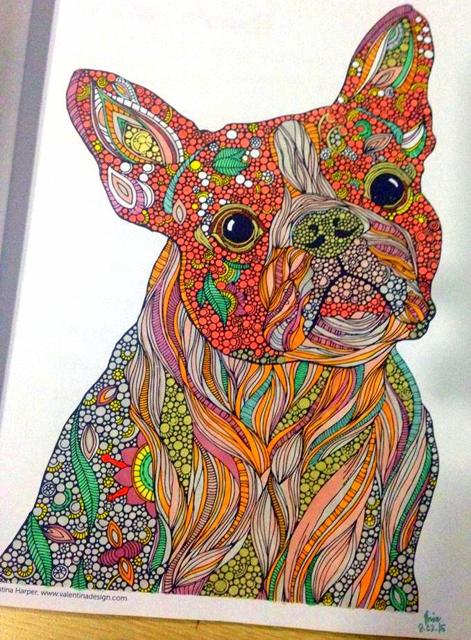Kolorista: Creative Coloring Animals Dogs