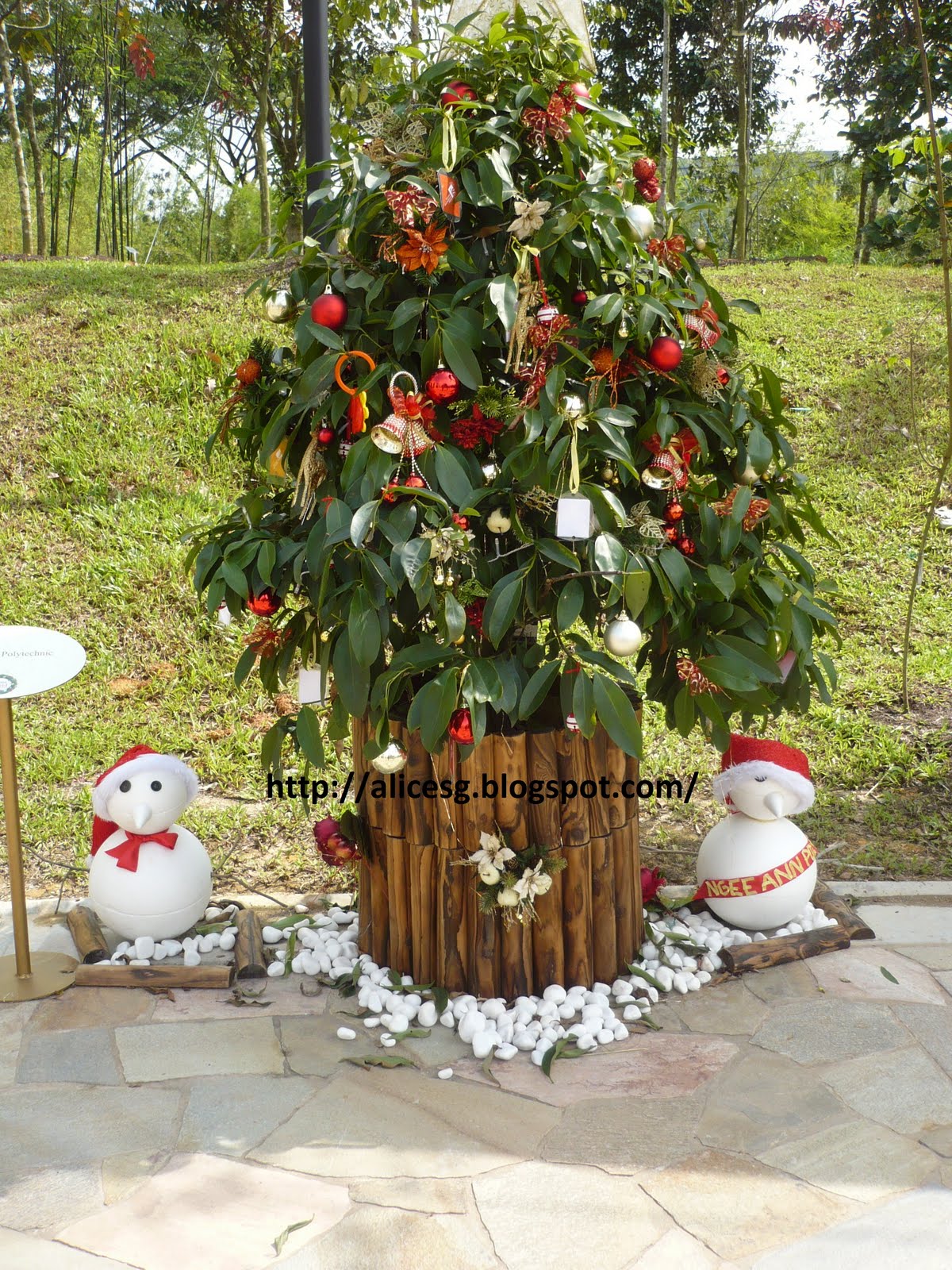 AlicesgSingaporemyhome Singapore Botanic Garden Christmas Trees