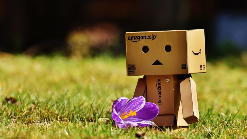 The cute Danbo is enjoying of Spring