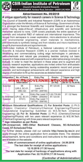 csir-iip-scientist-recruitment-tngovernmentjobs csir-iip-scientist-recruitment-tngovernmentjobs
