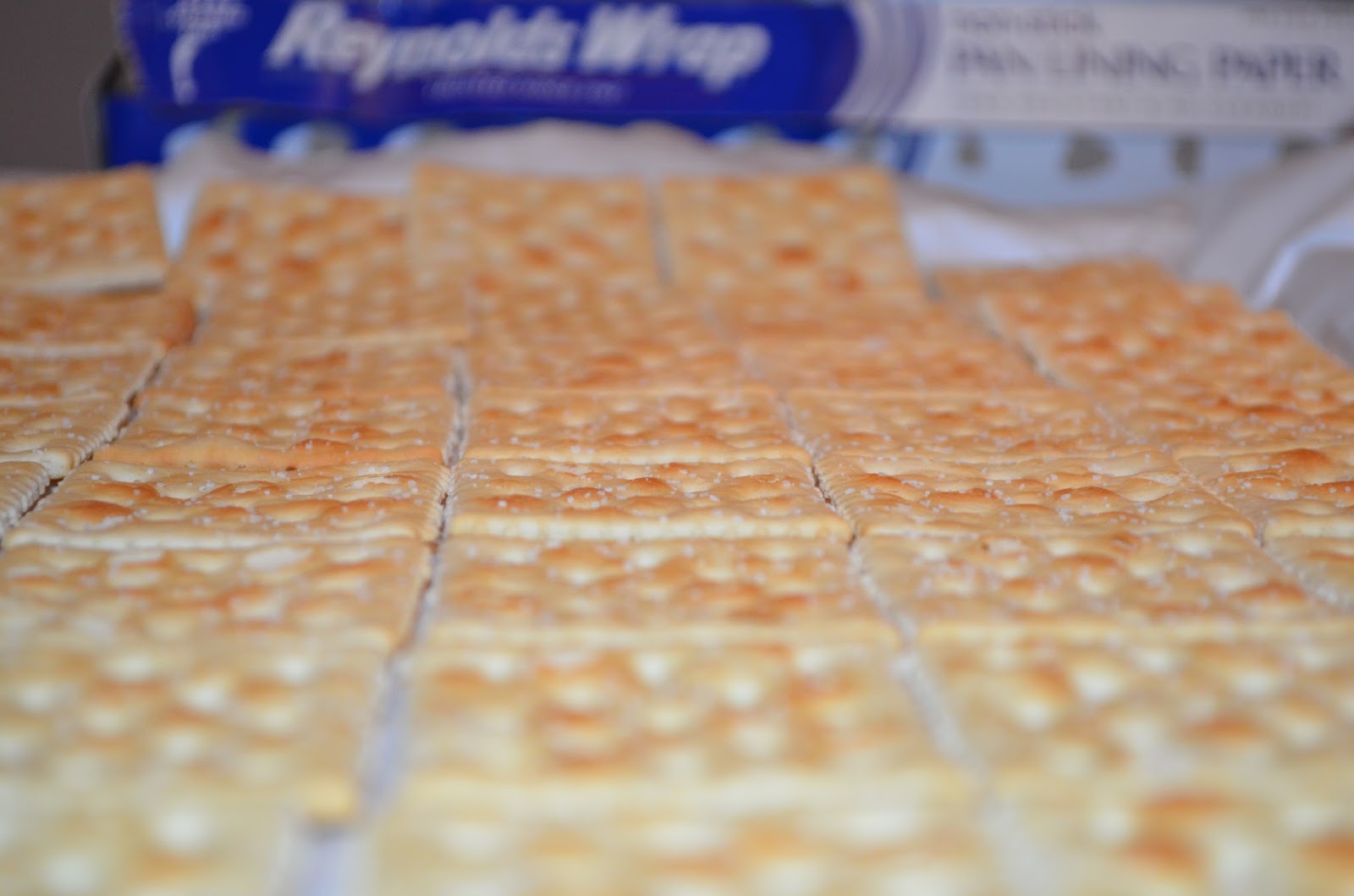 House in the Heights What We Ate {Delicious Saltines}