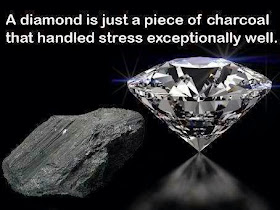 A Diamond is just a piece of charcoal that handled stress exceptionally well.