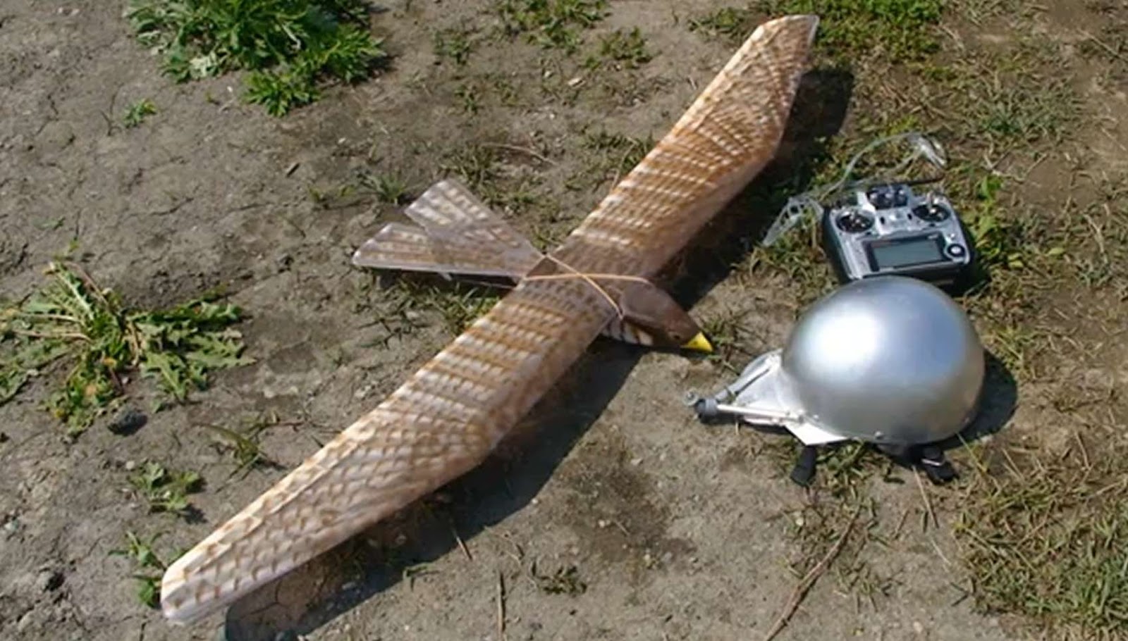 wind and water and earth RC Bird