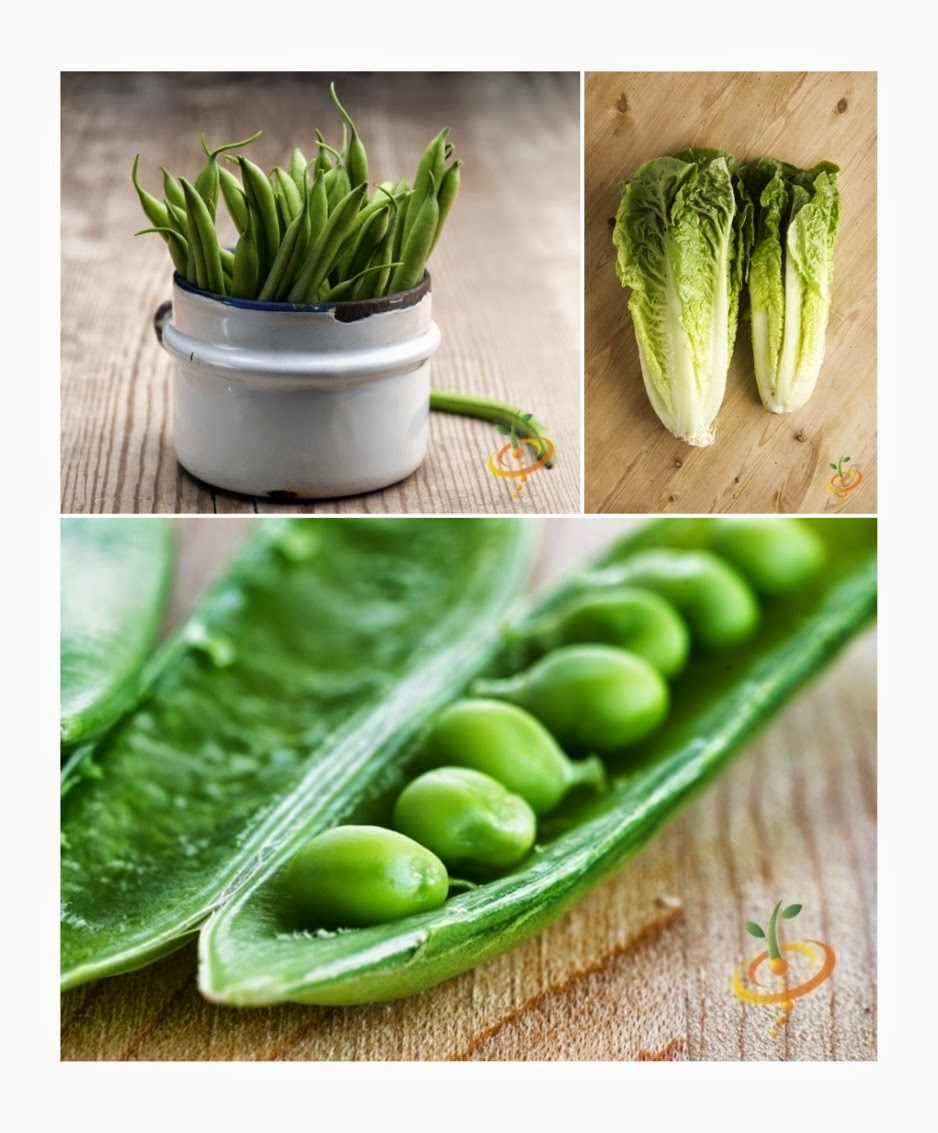 Aisling Farms Gardening Companion Planting with Beans, Peas & Lettuce