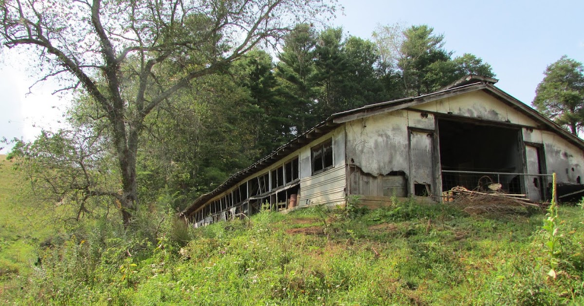 a-couple-of-farmers-at-maple-lawn-farm