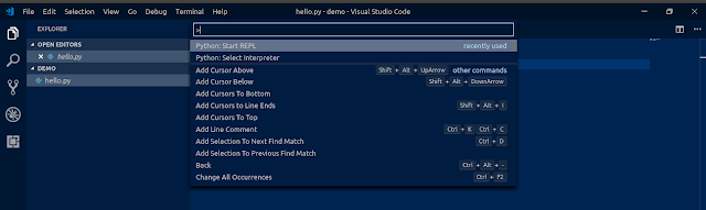 Beginner's Guide: Python in Visual Studio Code (For Ubuntu)