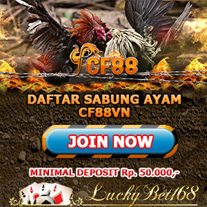 Daftar CF88VN