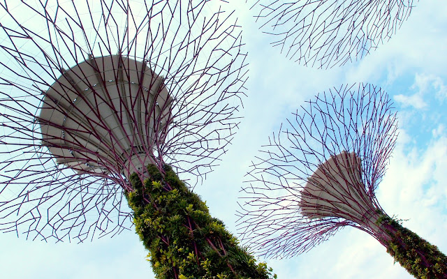 Supertrees Gardens by the Bay Supertrees Gardens by the Bay