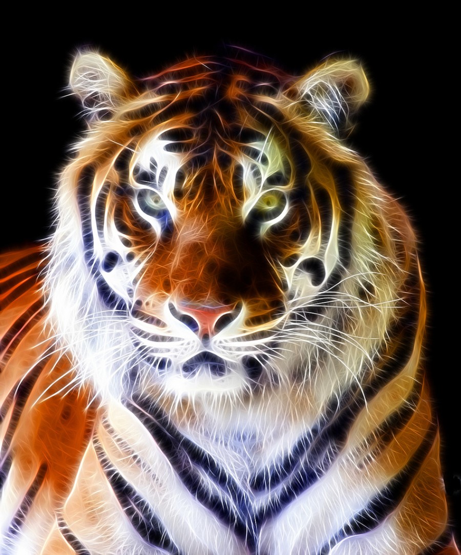 Stunning Animal  Fractal Art  By Steve Wilson