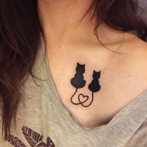 Tatuagens de gato Tatuagens de gato