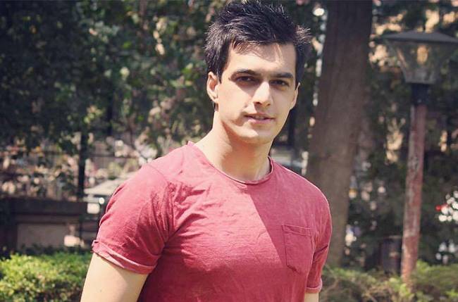 Mohsin Khan (Actor) Wiki, Biography, Dob, Age, Height, Weight, Affairs and More