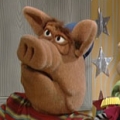 Obrazek
