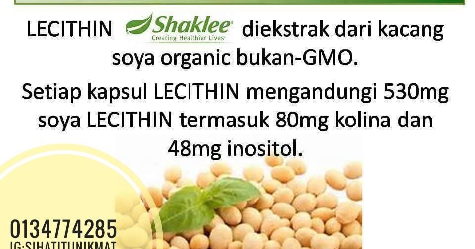 Lecithin Bukan Sekadar Untuk Kurus, Bagus Untuk Otak Dan Imun Sistem Badan Pengedar Shaklee