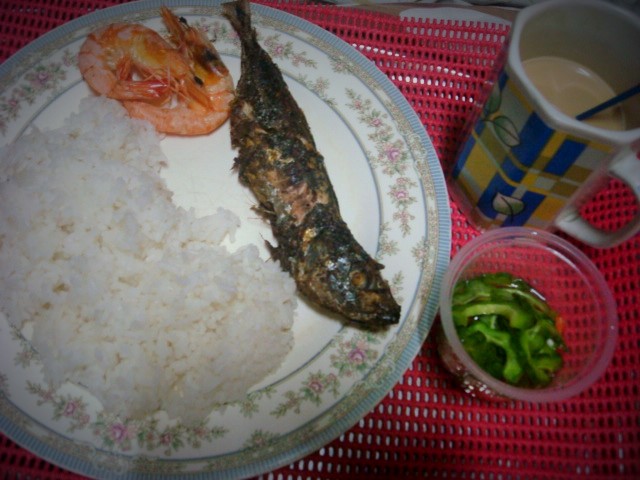 shrimp, fish, ampalaya, rice