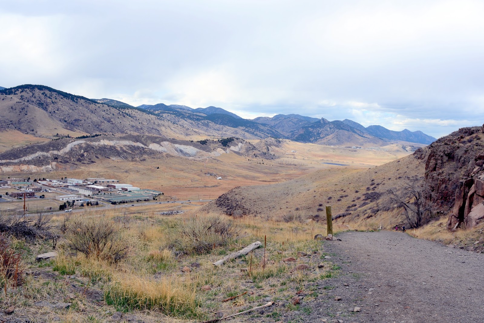 Mille Fiori Favoriti North Table Mountain Trail and Park, Golden, Colorado