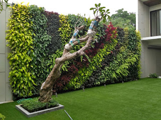 Taman vertikal dengan kamboja klasik Taman vertikal dengan kamboja klasik