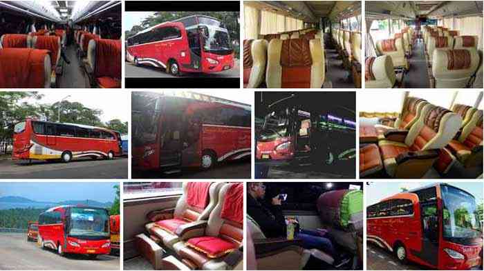 Mewah dan Nyaman: Mengupas Keunggulan Bus Pariwisata Kelas Bisnis