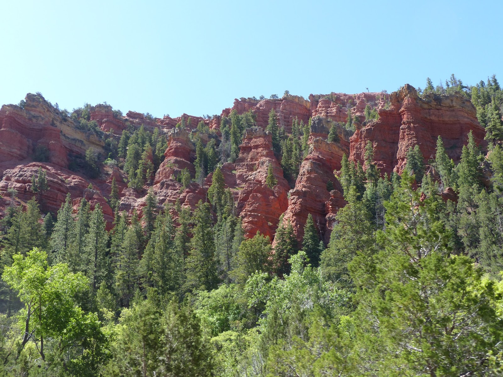 Land Cruising Adventure Camping near Yankee Meadows Campground Dixie